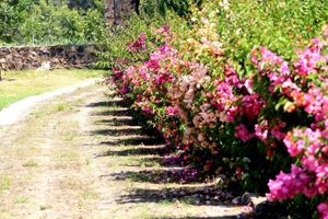 Hospedagens - Hacienda San Nicolas de las Fuentes