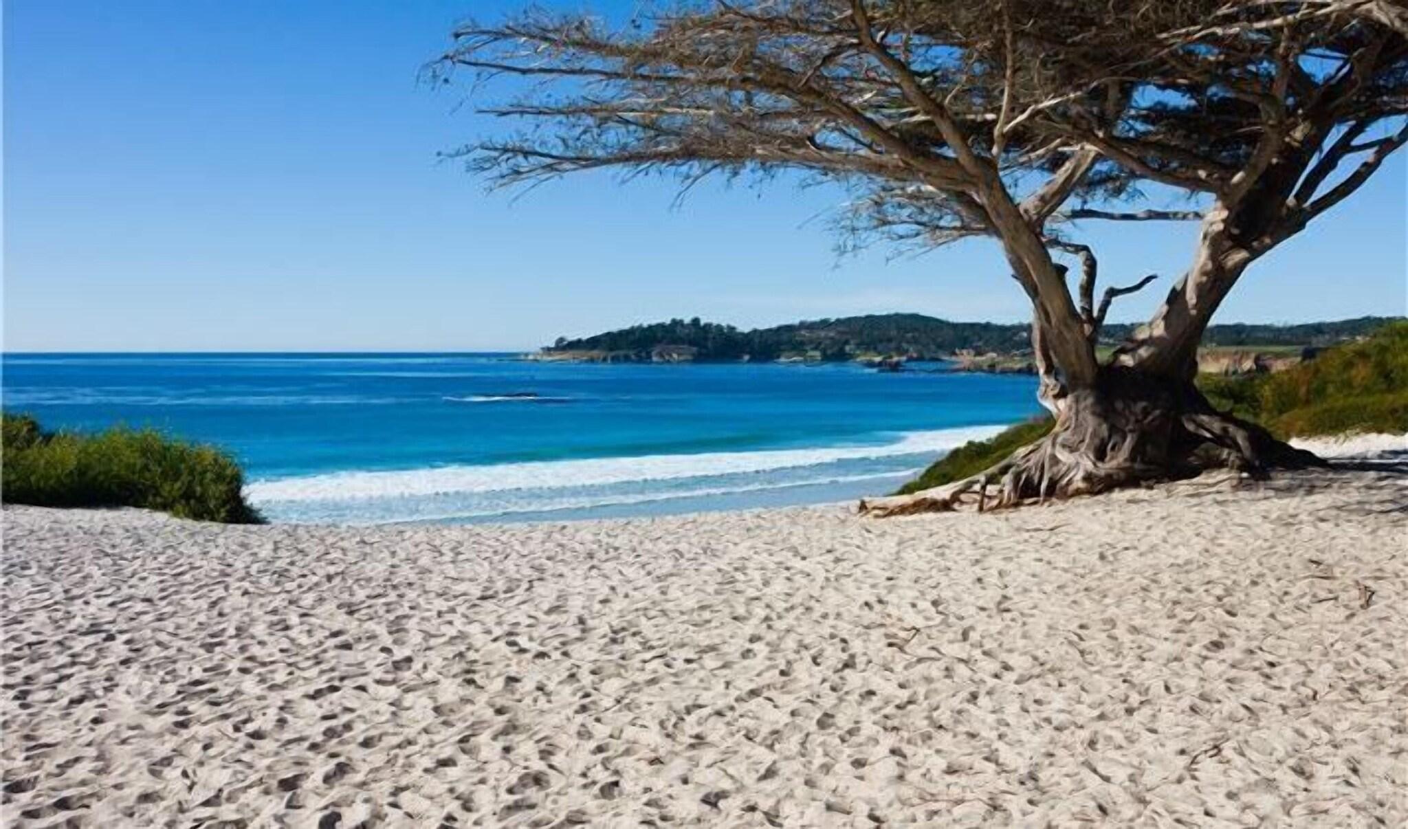 Playa Hofsas House Hotel