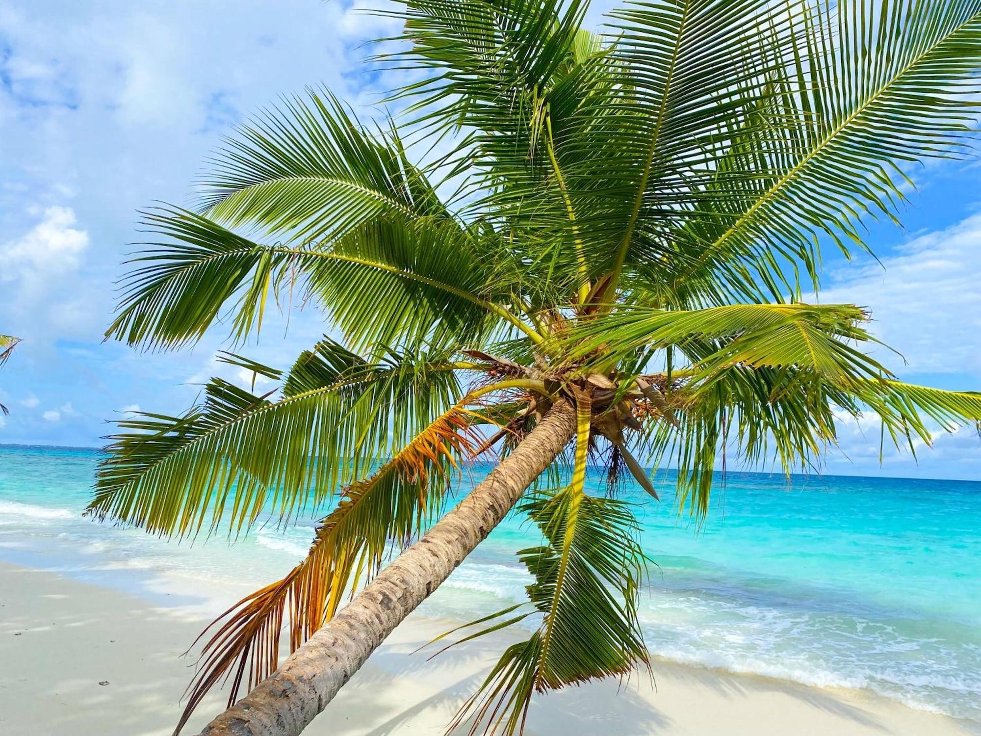 Playa TME Retreats Dhigurah