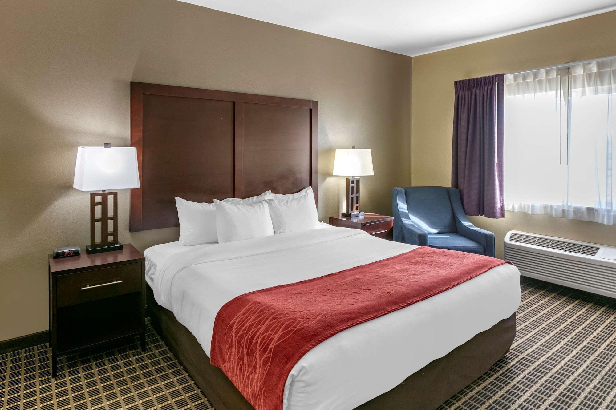 Habitación Comfort Inn Fort Collins North