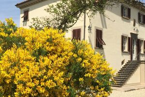 Alojamiento - Albergo Villa Marta