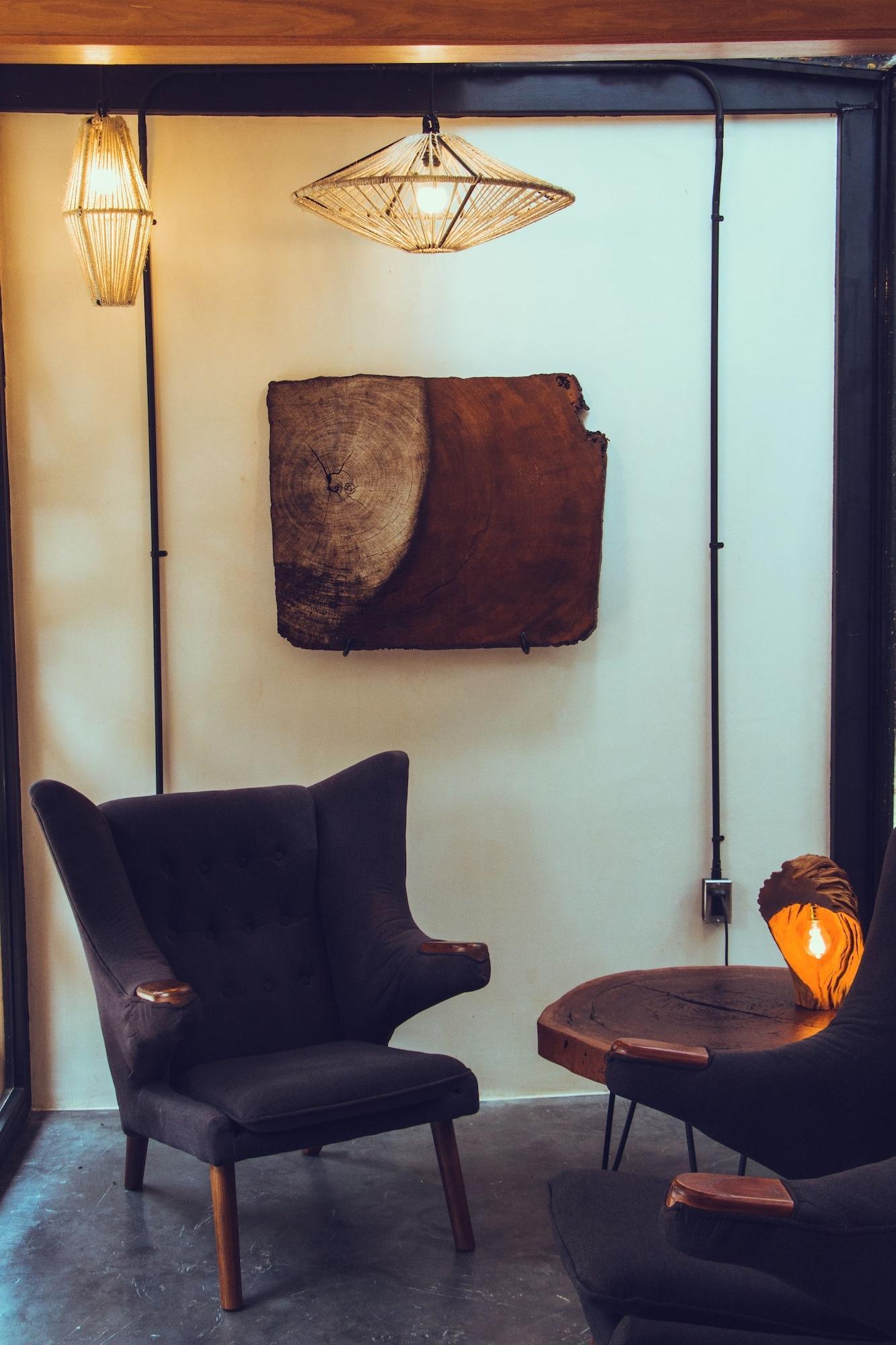 Vista Lobby Bufo Alvarius