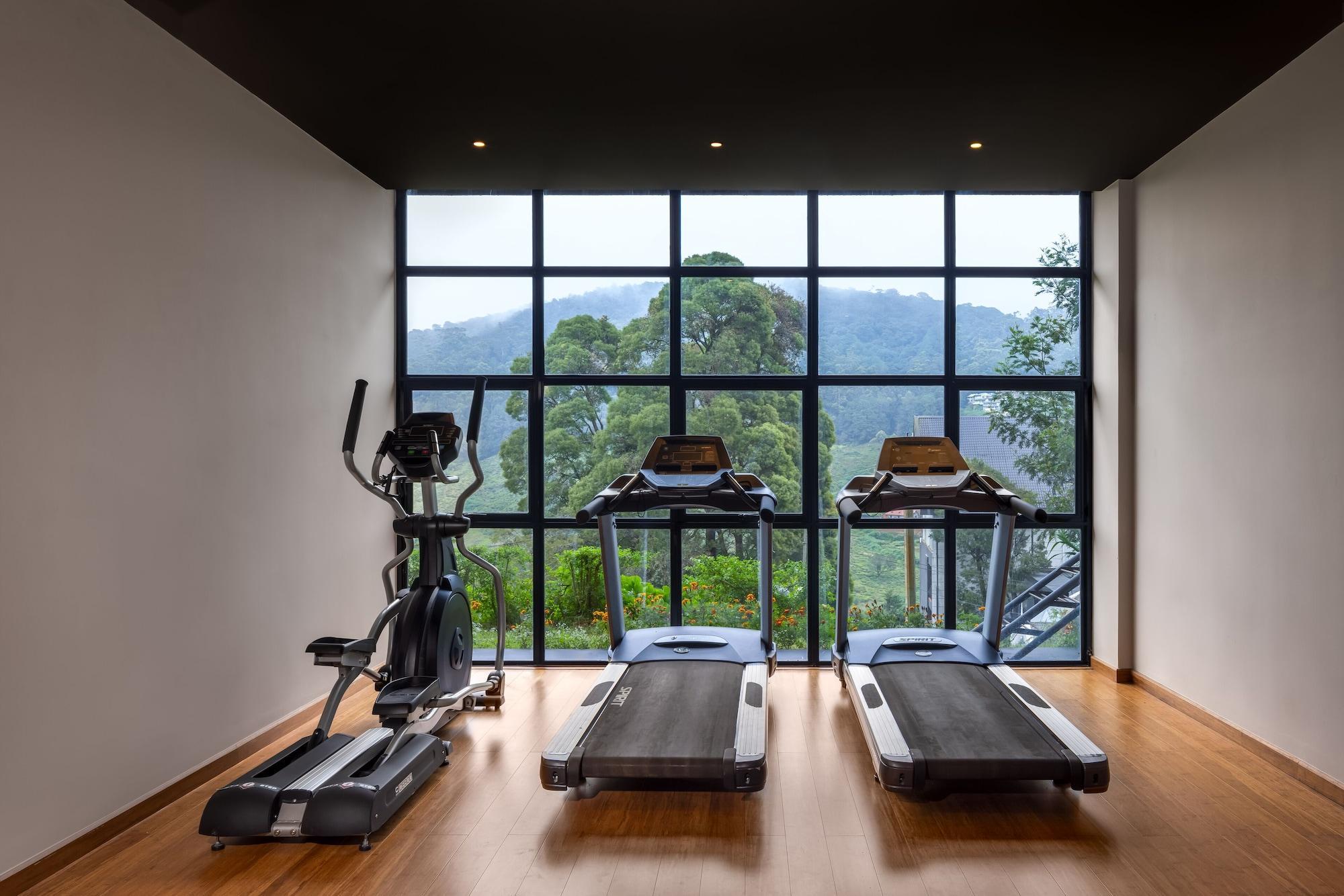 Gimnasio The Golden Ridge Hotel