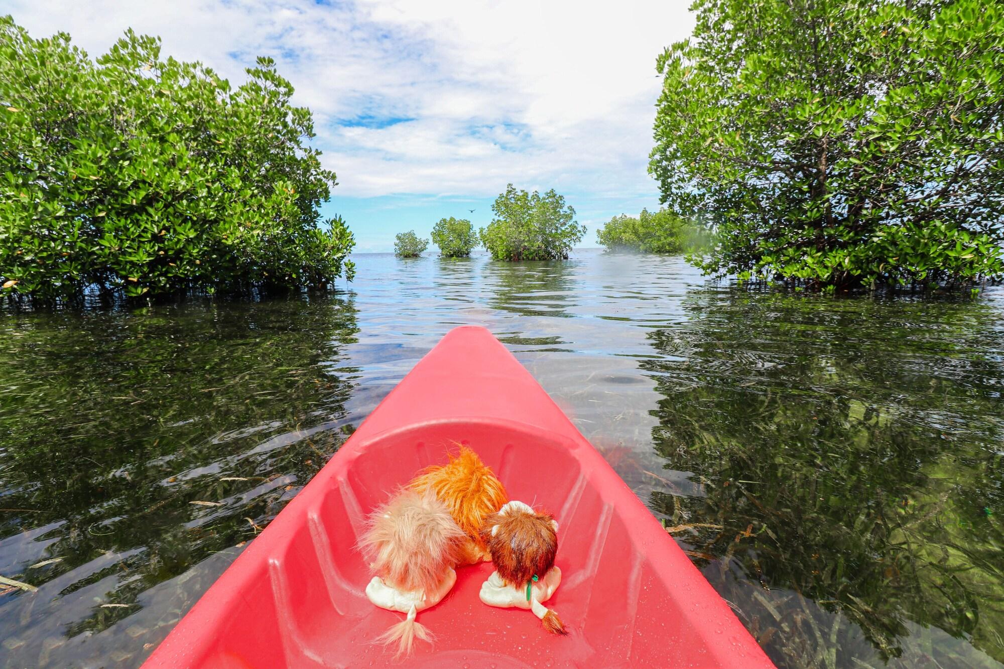 Vista Exterior The Funny Lion - Puerto Princesa