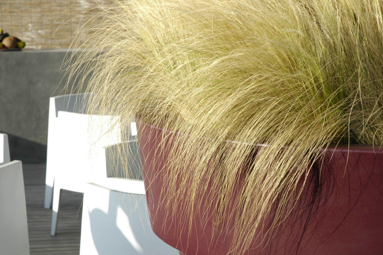 Bar/Salón Hotel San Francesco