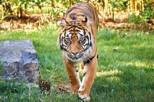 Alquiler Vacacional - Gîte La Terrasse du Loir