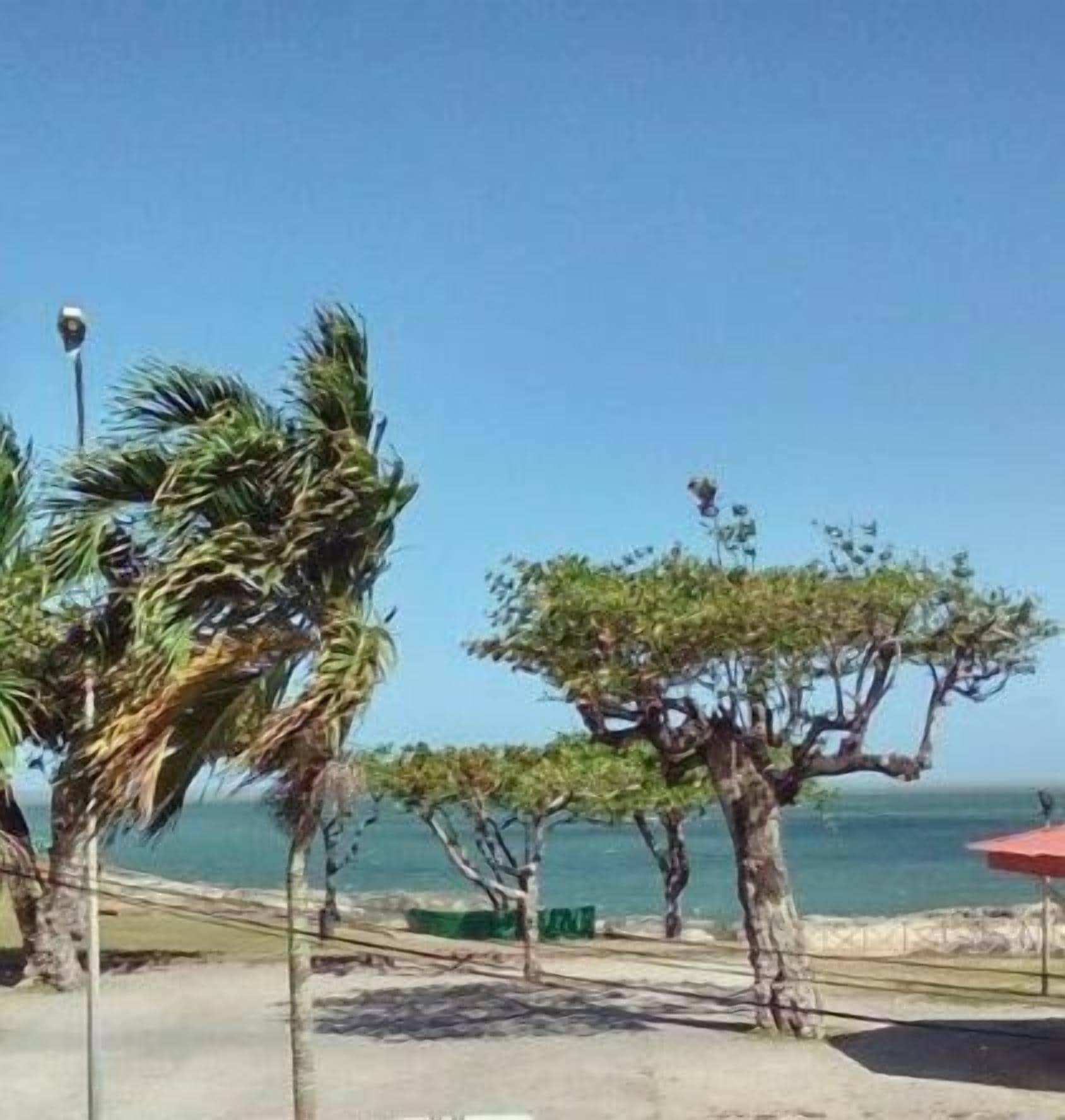 Playa Hôtel des Amandiers