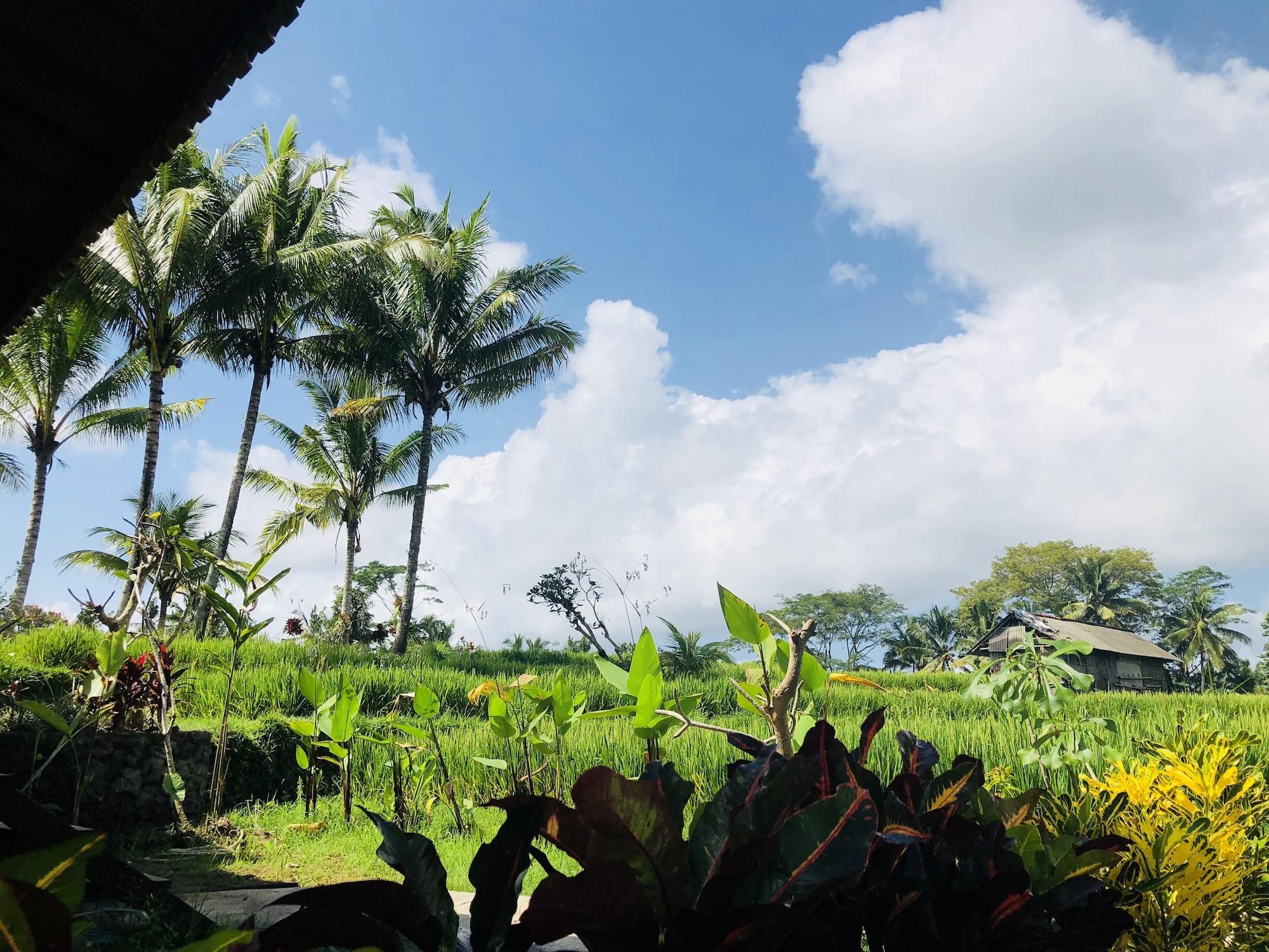 Vista Exterior Villa Neyang