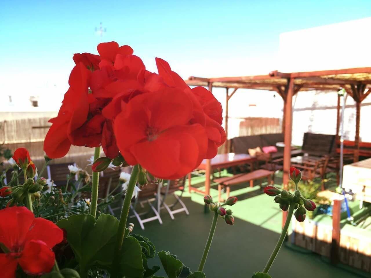 Varios Summer Hostel Cádiz