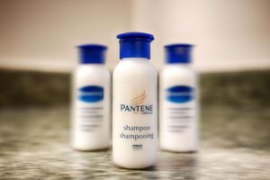 Alojamiento - Best Western Oakbrook Inn