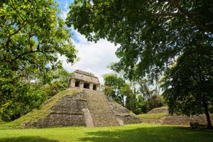 Actividad - Palenque, Zona Arqueologica de Palenque