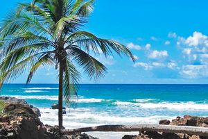 Passagem - Voos para Ilhéus