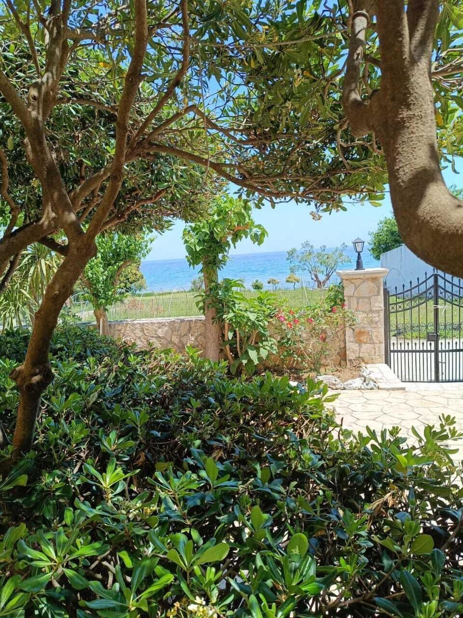 Equipamiento de Habitación Calypso Studios