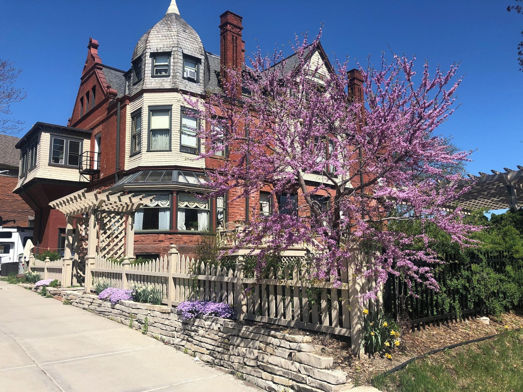 Comodidades del Alojamiento Schuster Mansion Bed & Breakfast