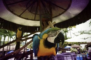 Alojamiento - Cabanas Termas Hotel.