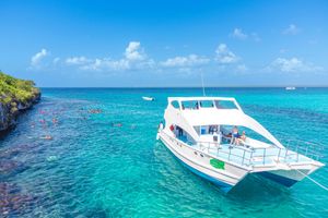 Actividad - Isla Catalina Snorkel / desde Bayahibe