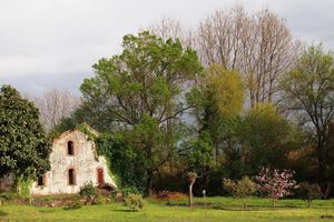 Arriendo temporal - House by the river, in a quiet neighborhood, close to the mountains, beaches, towns, and hiking trails