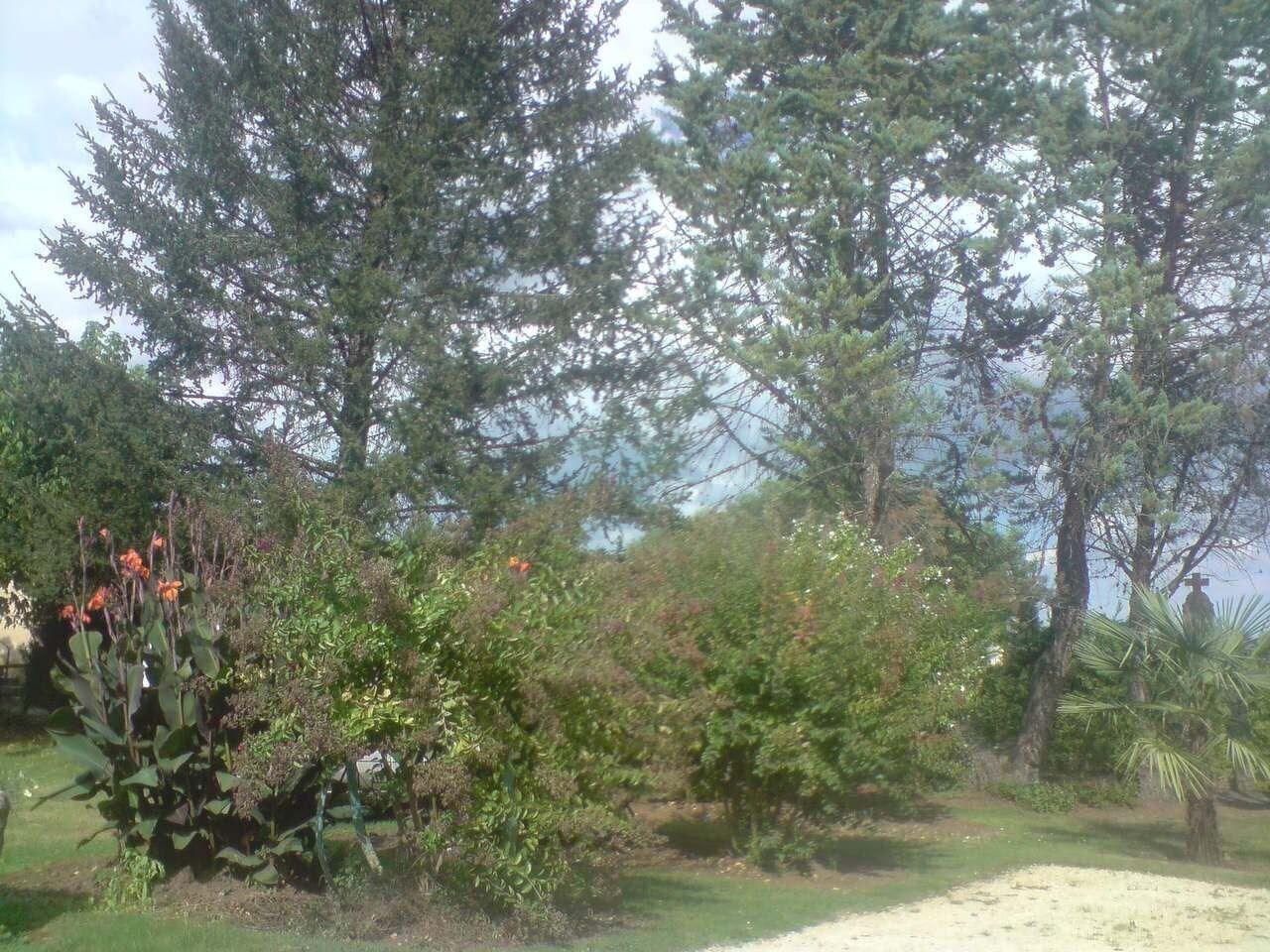 Comodidades del Alojamiento Chambres d'hotes de L'Ancien Prieuré