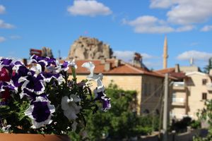 Alojamiento - Capiedra Hotel