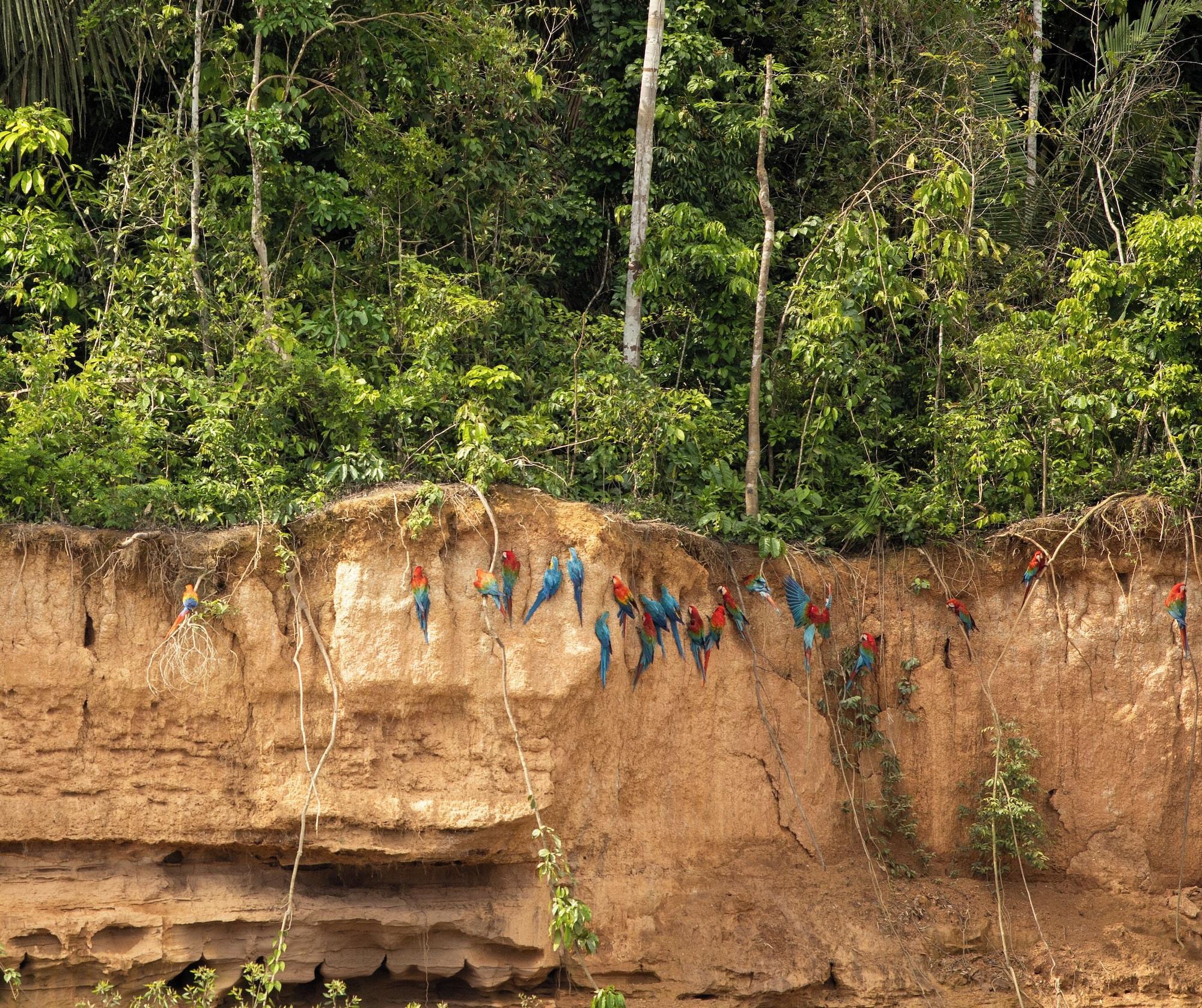 Playa Hacienda Herrera Tambopata