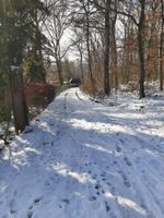 Alquiler Vacacional - Detached hunting lodge, quiet location at the edge of the forest, family-friendly, nature