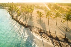 Paquete - Punta Cana y su horizonte infinito