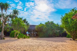 Alojamiento - Jungle Beach Ahungalla