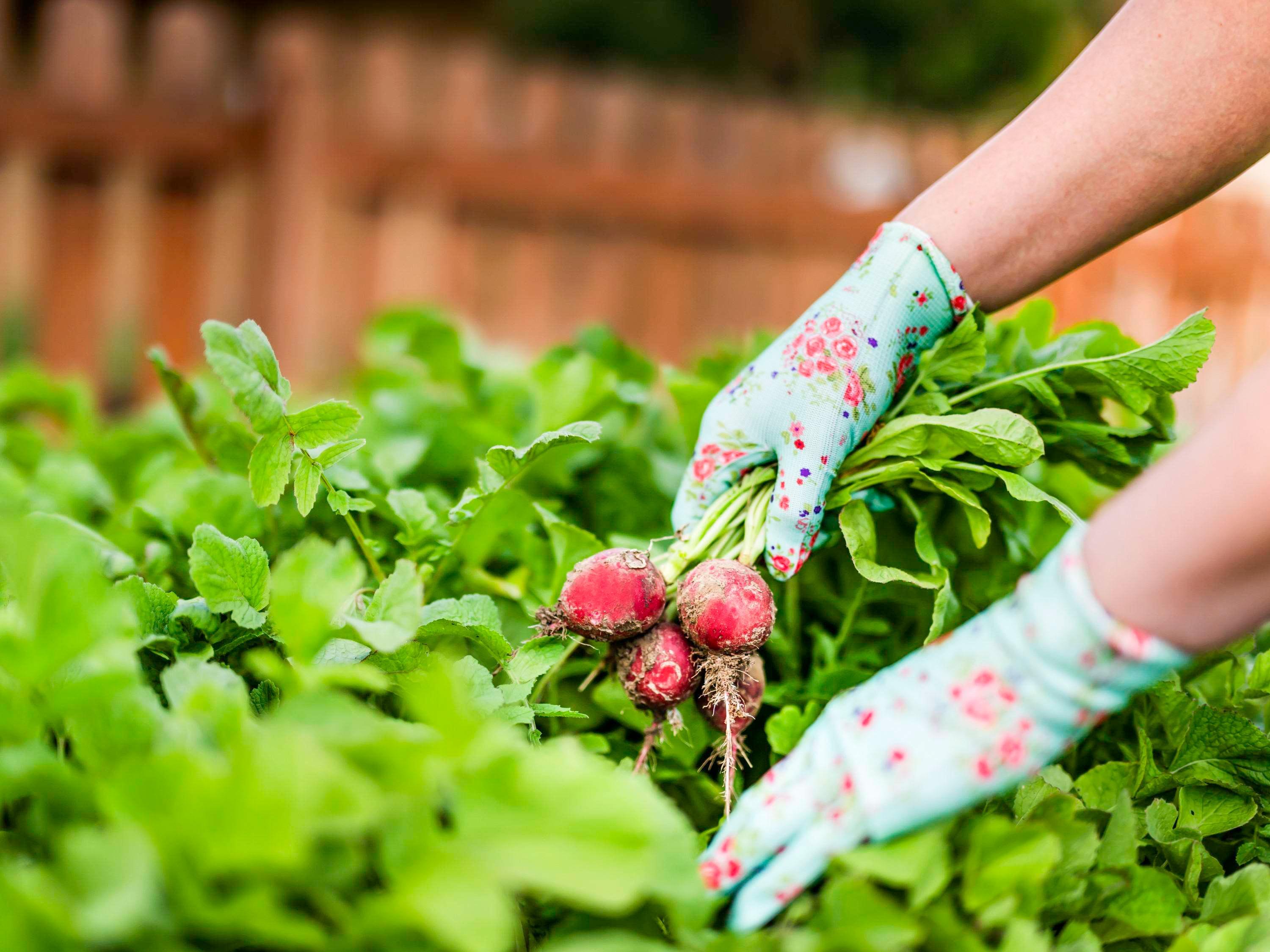 Restaurant Mercure Raclawice Doslonce Conference & SPA