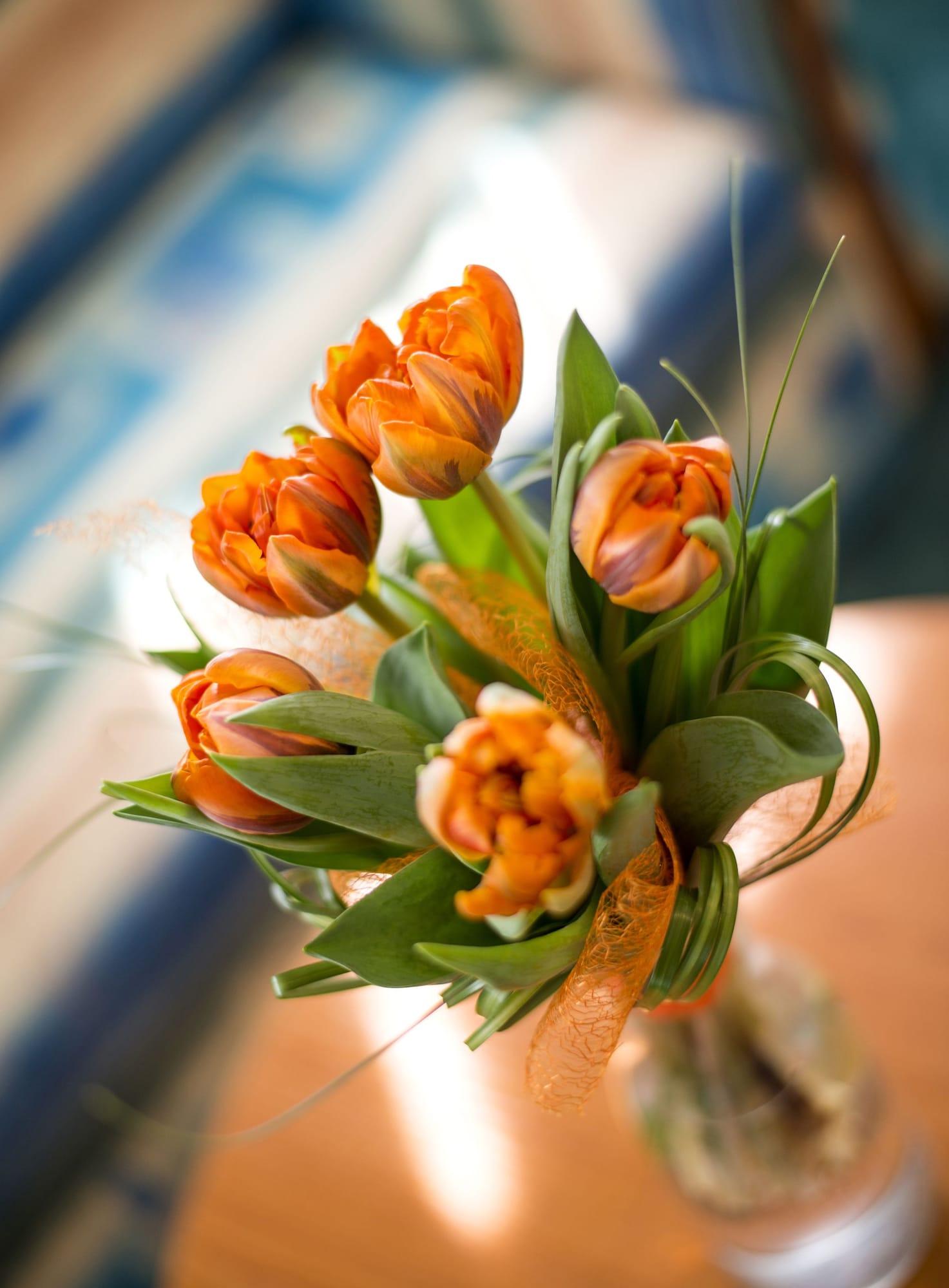 Set de Habitación Hotel Dvořák