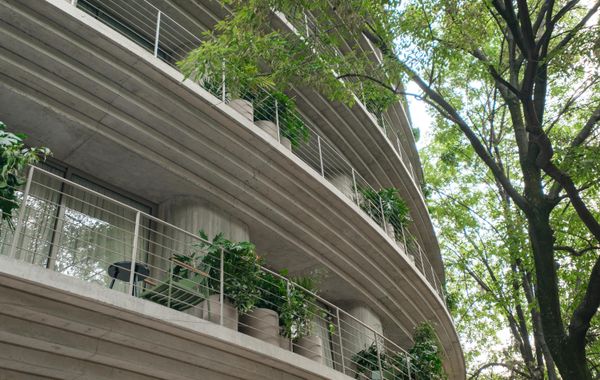 Nido Parque Mexico - Hoteles cerca de Foro Sol en Ciudad de México