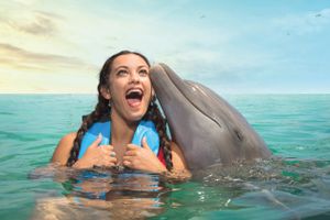 Actividad - Cozumel: Dolphin Swim Adventure