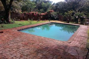 Alojamiento - Mambo Backpakers