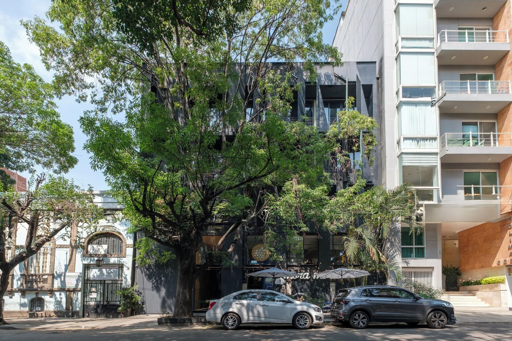 Vista Exterior Boga Mexico City by Lumina