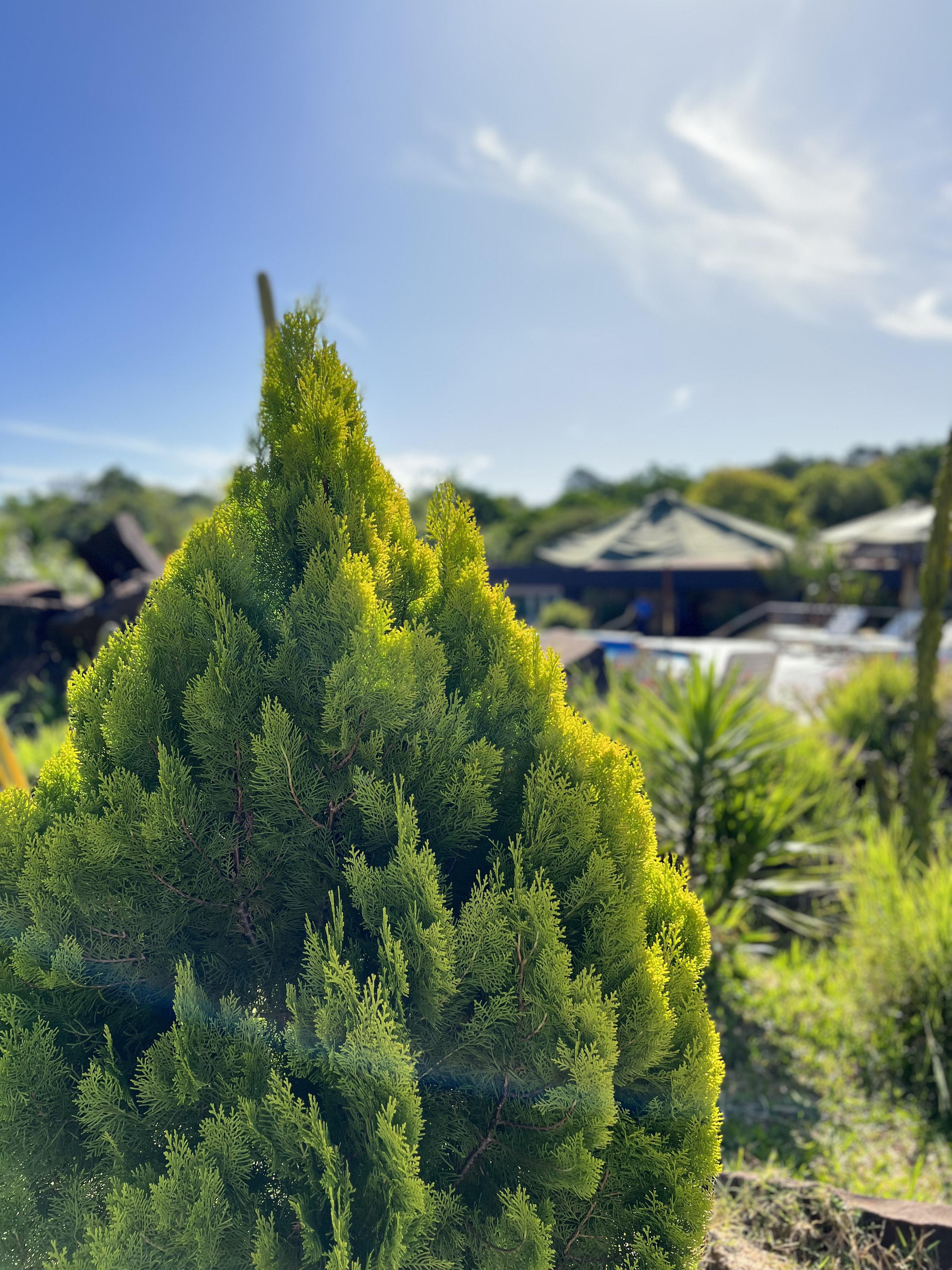 Vista Exterior Irová Apart Hotel