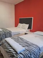 Alojamiento - HOTEL SELVA