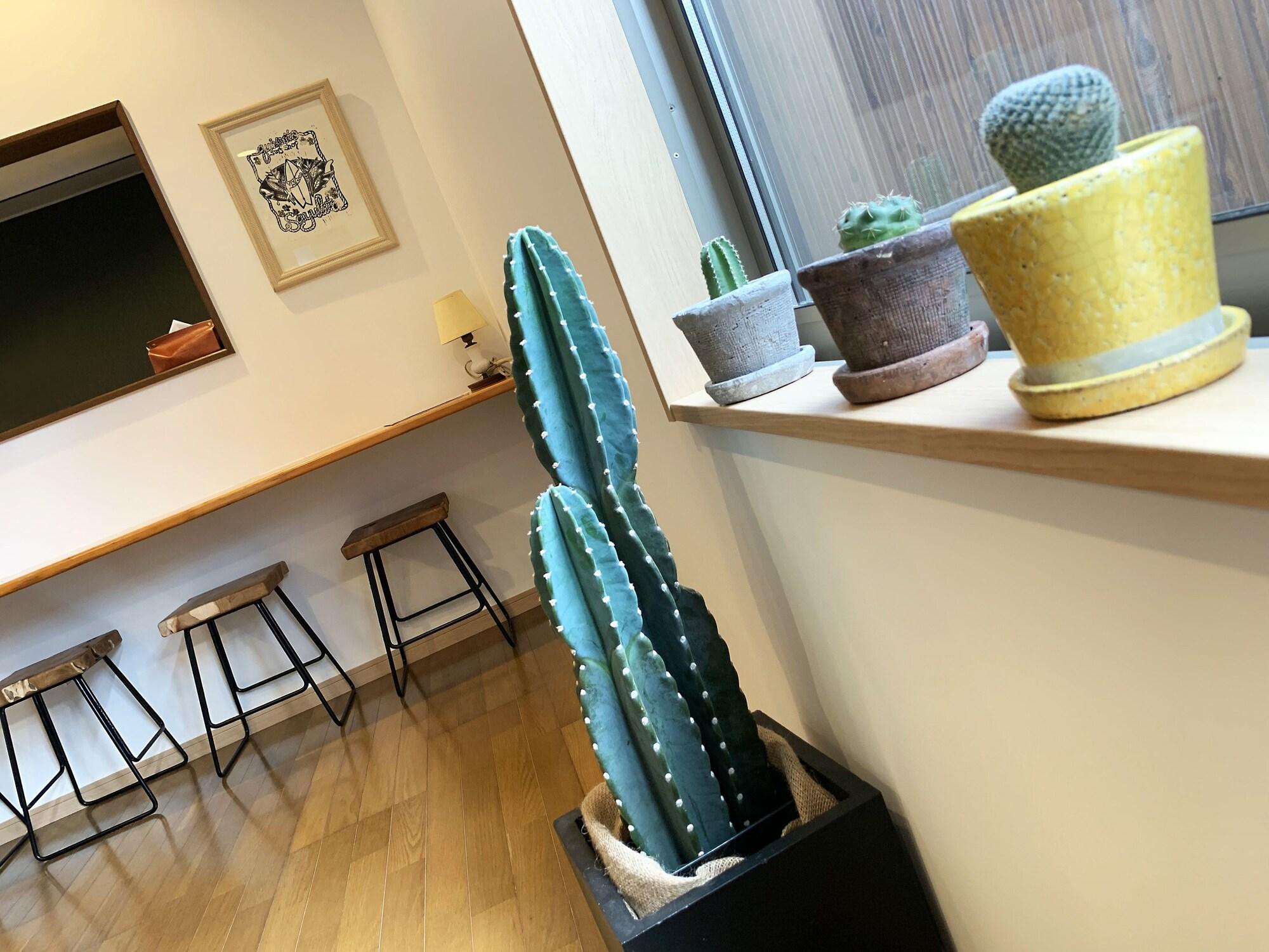 Set de Habitación Cactus Inn