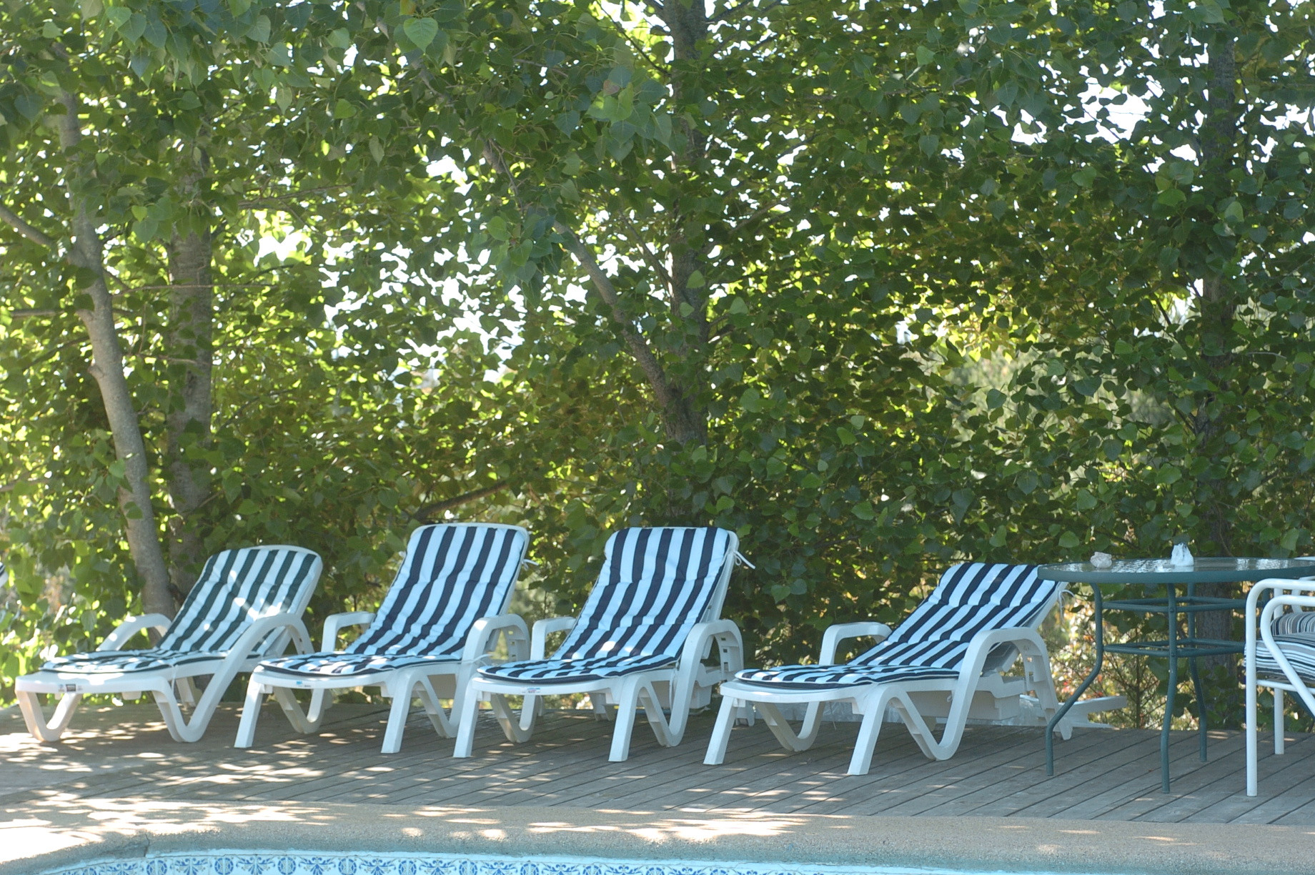 Vista Piscina Refugio Tetelhue