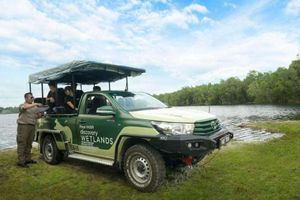 Actividad - Humedales Paya Indah Discovery en Gamuda Cove, Selangor