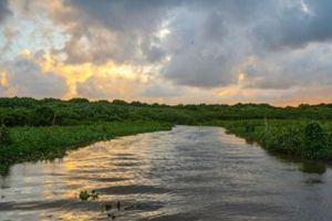 Actividad - Tour Rio Magdalena en Barranquilla