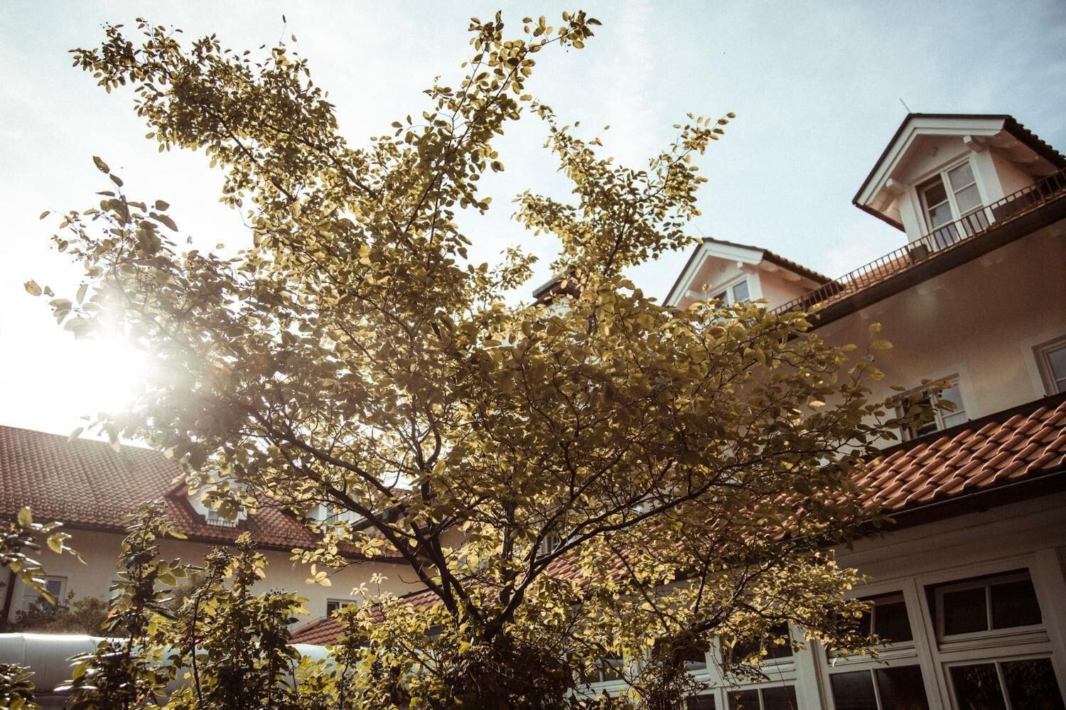 Vista Exterior Limmerhof