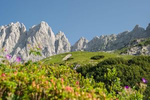 Alojamiento - Landhotel Föhrenhof Ellmau