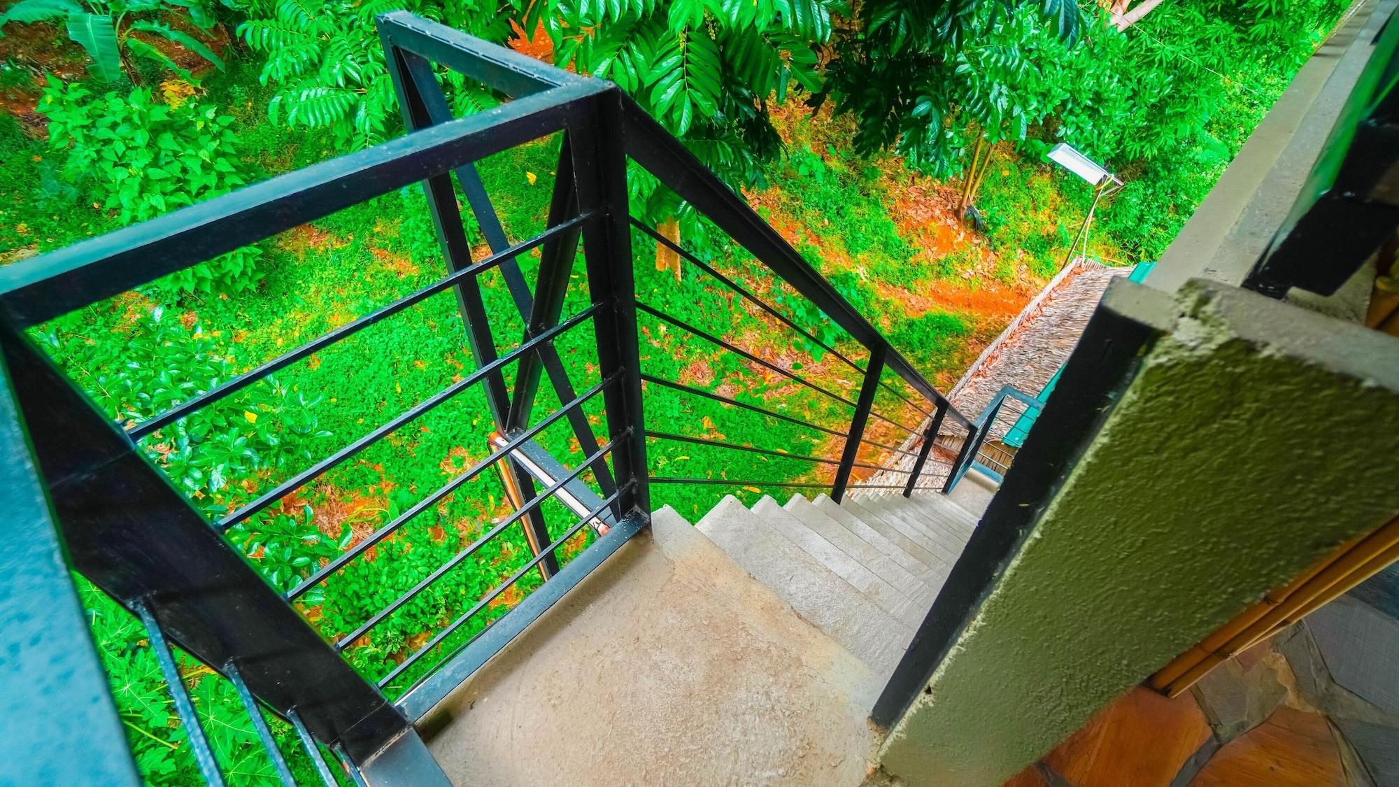 Varios The Ridge Coron