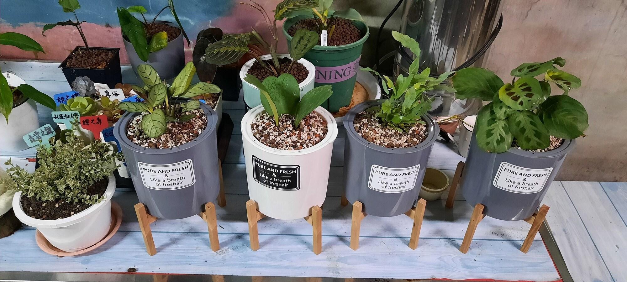 Equipamiento de Habitación Nasun bed and breakfast