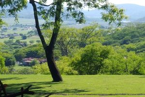 Alquiler Vacacional - La Montaña