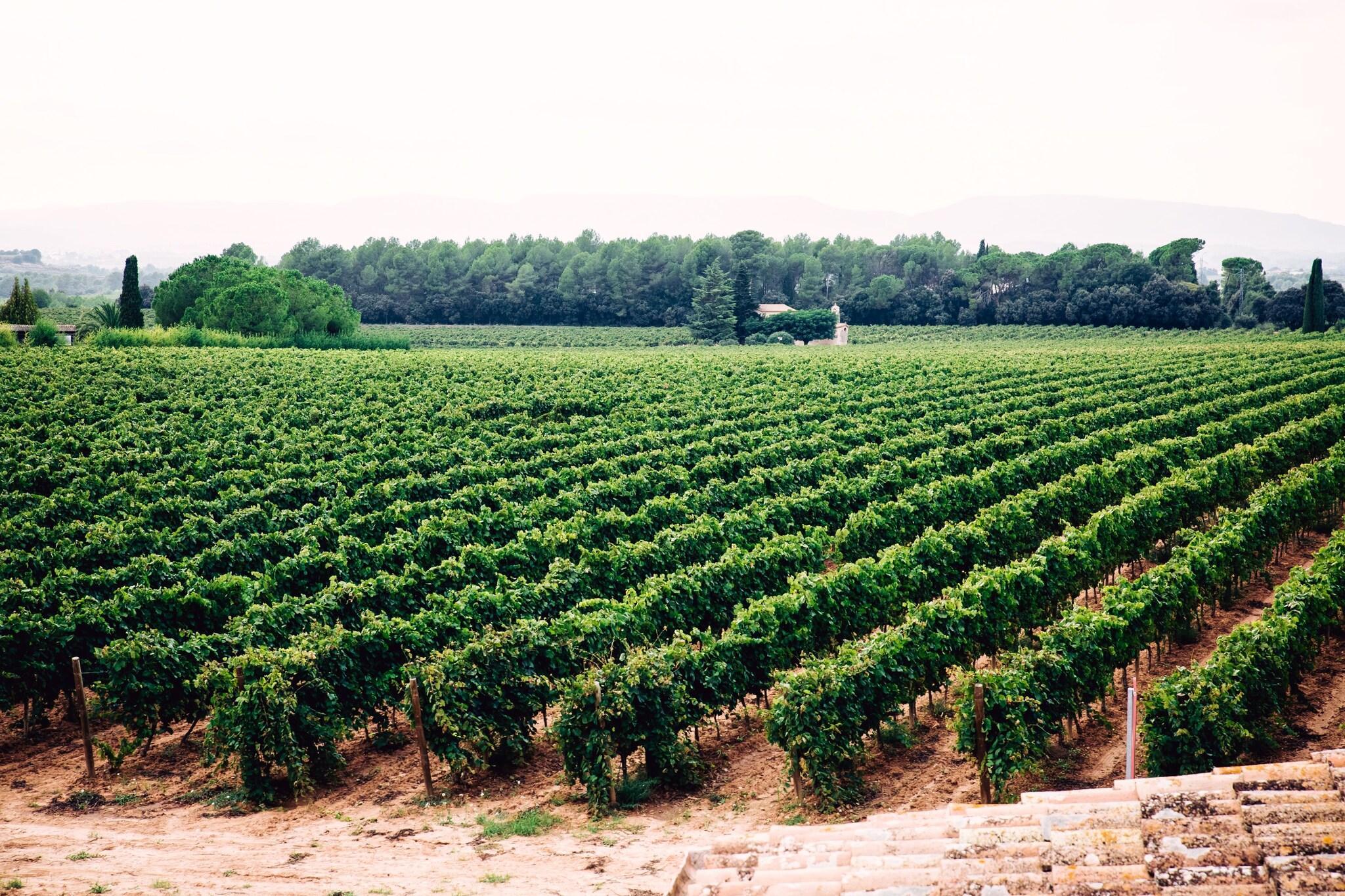 Vista Exterior Hotel Restaurant Sol I Vi