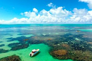 Actividad - Excursión de un día a la playa de Paripueira