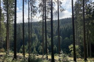 Alojamiento - Der schöne Asten - Resort Winterberg