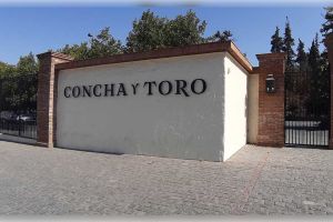 Actividad - Visita a Viña Concha y Toro Standard