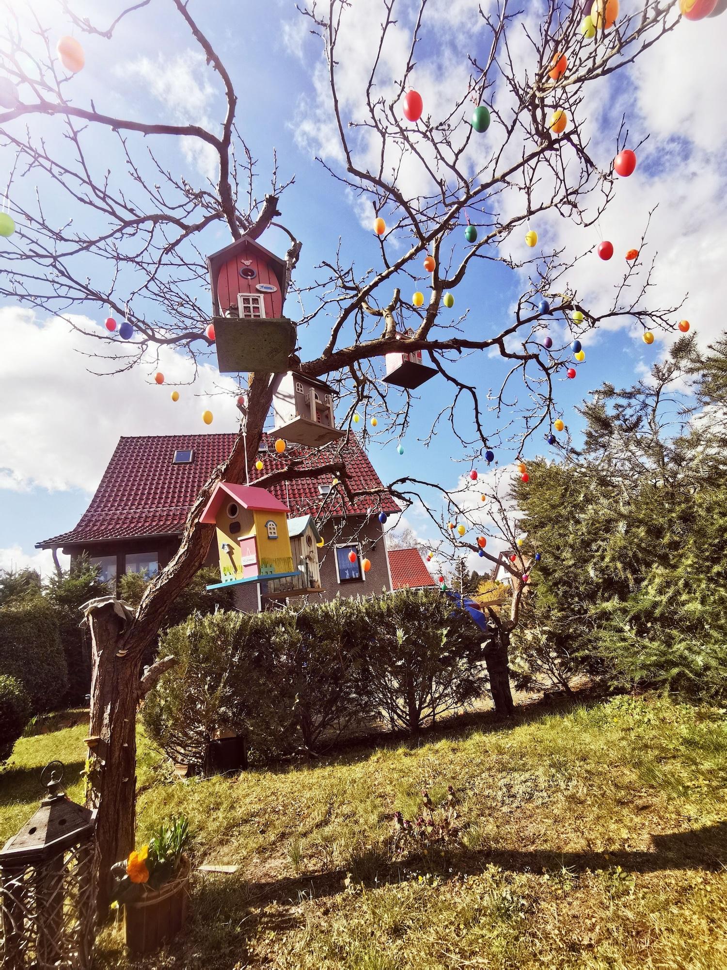 Varios Pension Fischerhaus
