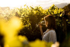 Paquete - Paquetes a Mendoza
